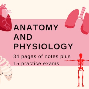 Guía de estudio de anatomía y fisiología