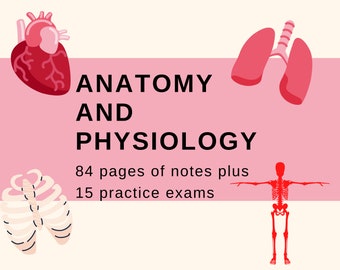 Guía de estudio de anatomía y fisiología