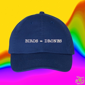 May include: A navy blue baseball cap with white embroidered text that reads "BIRDS = DRONES".