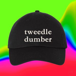Op de afbeelding: Een zwarte baseballpet met de in wit geborduurde tekst "tweedle dumber" gecentreerd op het voorpaneel. De pet heeft een gebogen klep, een gestructureerde kroon met een knoop aan de bovenkant en gestikte oogjes voor ventilatie op de panelen.