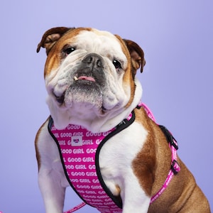Hundegeschirre &quot;Good Girl&quot;