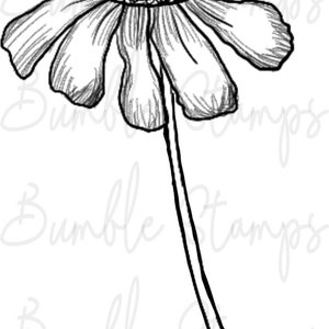 Floral Digi Stamp Line Art for Cardmaking, Cricut, Silhouette image 5