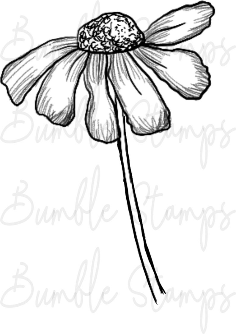 Floral Digi Stamp Line Art for Cardmaking, Cricut, Silhouette image 5