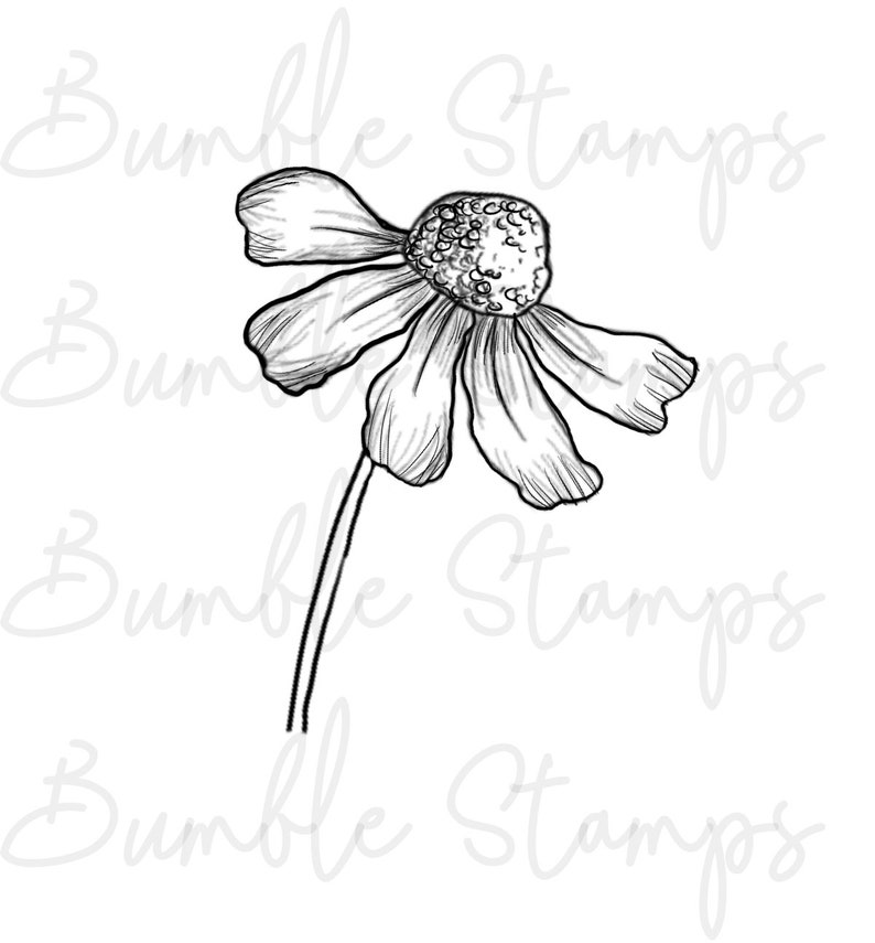 Floral Digi Stamp Line Art for Cardmaking, Cricut, Silhouette image 4