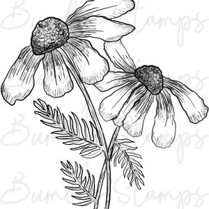 Floral Digi Stamp Line Art for Cardmaking, Cricut, Silhouette image 3