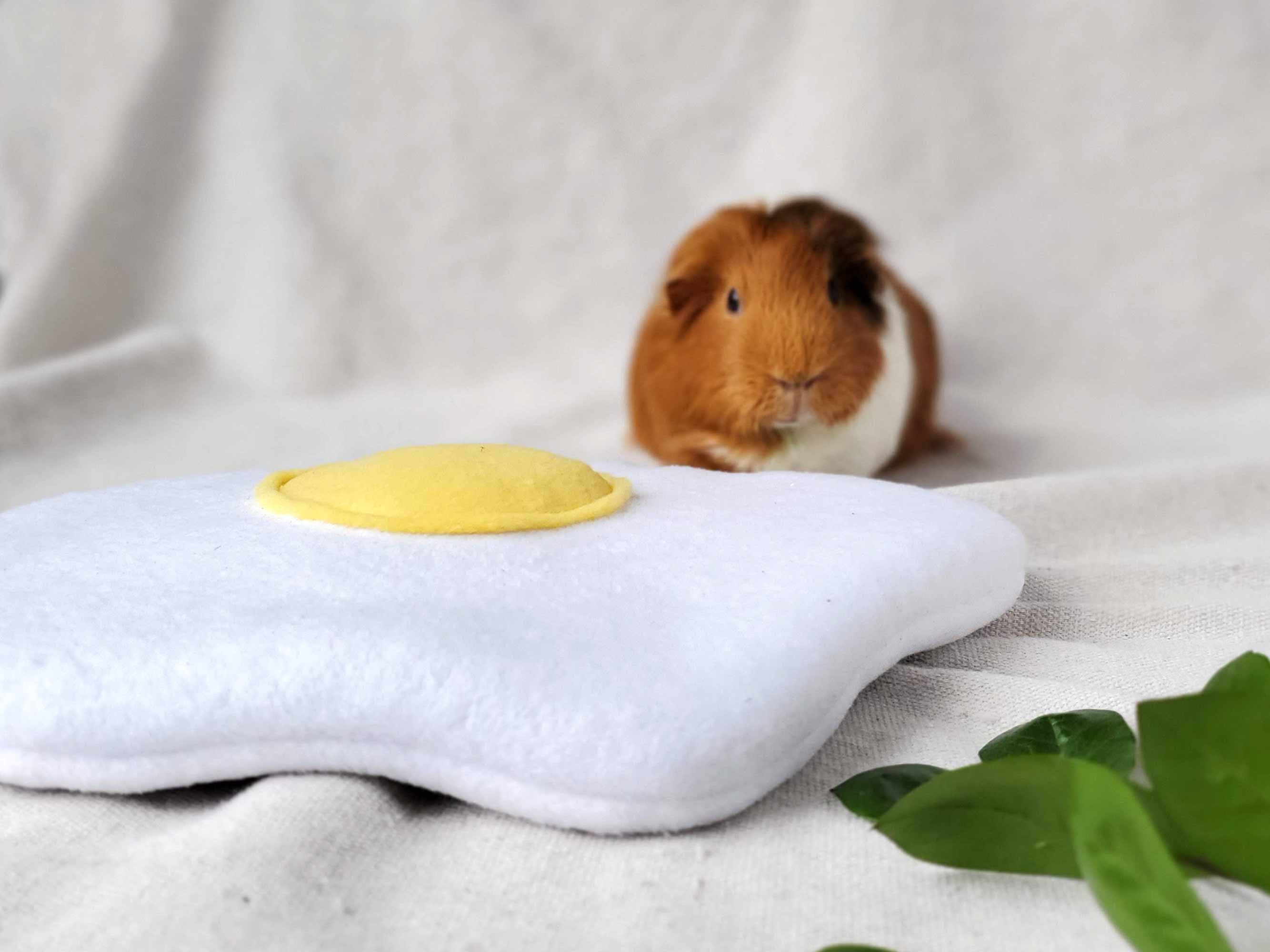 Cozy egg lap pad for guinea pigs. Ultra absorbent waterproof Etsy