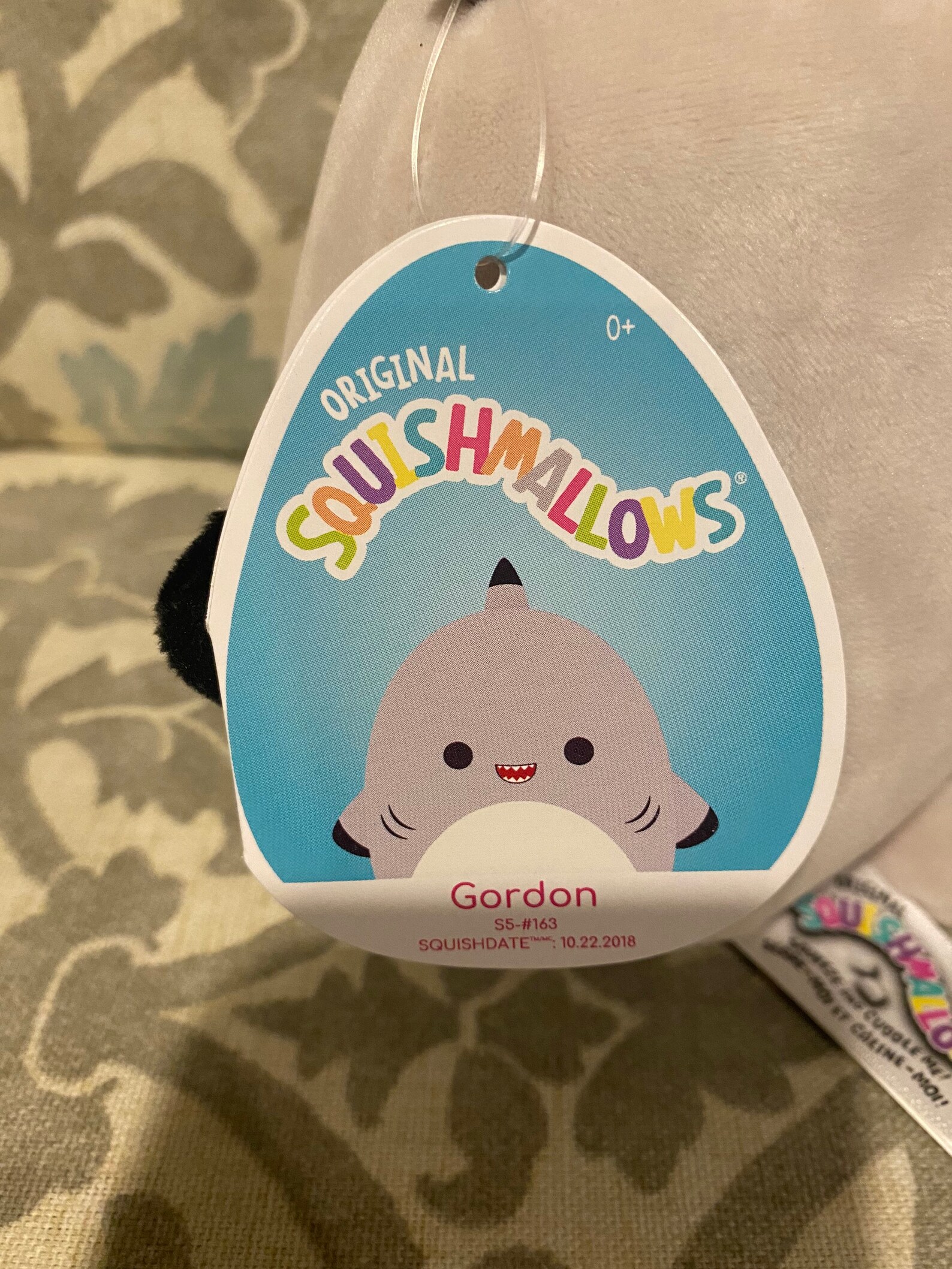 5 Gordon the Shark Squishmallow | Etsy