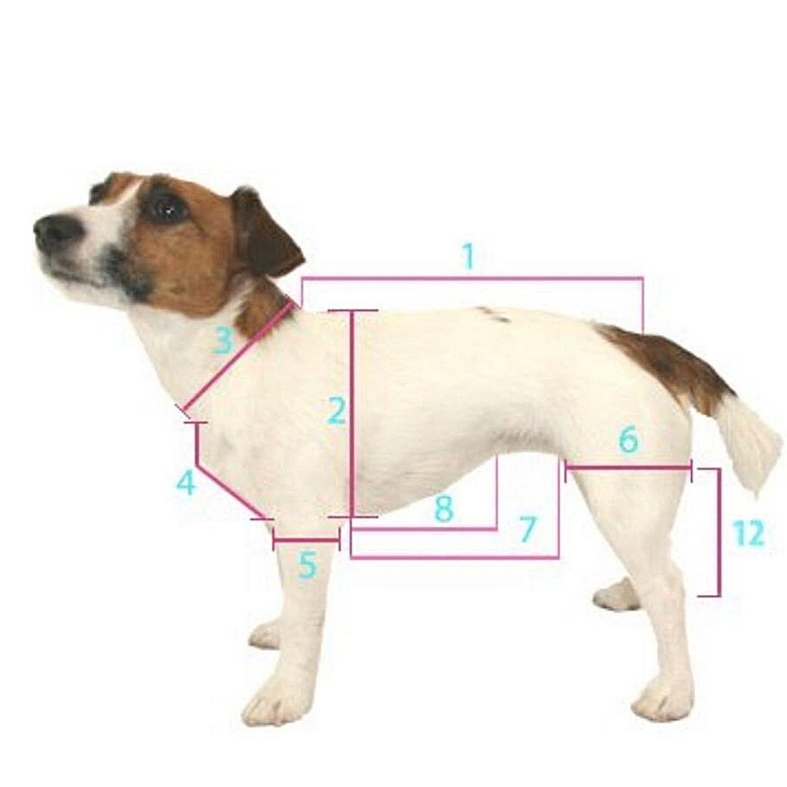 Hund Pullover mit einem schönen Strickmuster kleine Etsy