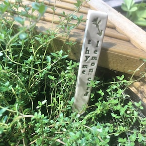 May include: A white ceramic plant marker with the text "Lemon Thyme" written on it. The marker is stuck in a pot of green thyme.