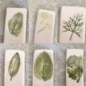 May include: Six rectangular ceramic tiles with pressed botanicals. The tiles feature a variety of leaves and flowers, including a single leaf, a sprig of dill, and a cluster of small flowers. The tiles are a light beige color with a subtle texture.