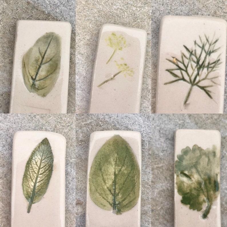 May include: Six rectangular ceramic tiles with pressed botanicals. The tiles feature a variety of leaves and flowers, including a single leaf, a sprig of dill, and a cluster of small flowers. The tiles are a light beige color with a subtle texture.