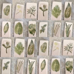 May include: A set of 20 ceramic tiles with pressed botanicals. Each tile features a different type of leaf or flower, including dill, parsley, and lavender. The tiles are a light beige color with a subtle green tint.