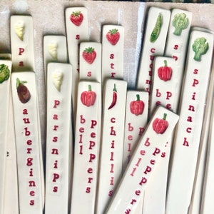 VEGETABLE plant markers