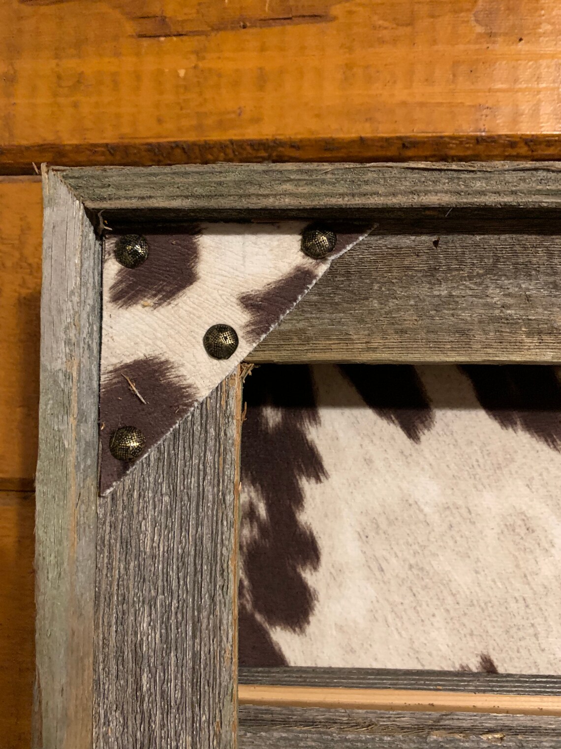 Belt Buckle Display Case Holds 8 Buckles Etsy