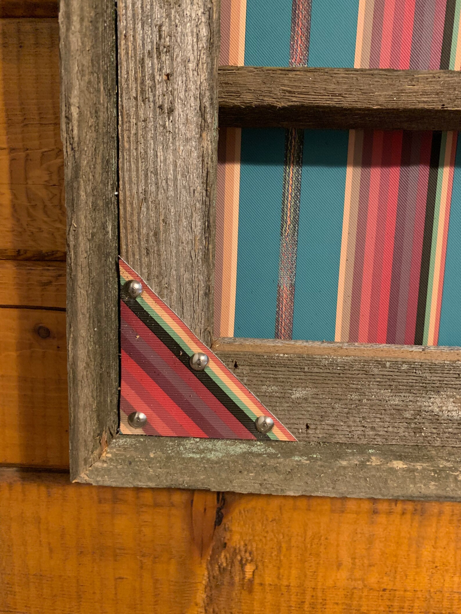 Belt Buckle display Case Holds 1216 Buckles Etsy