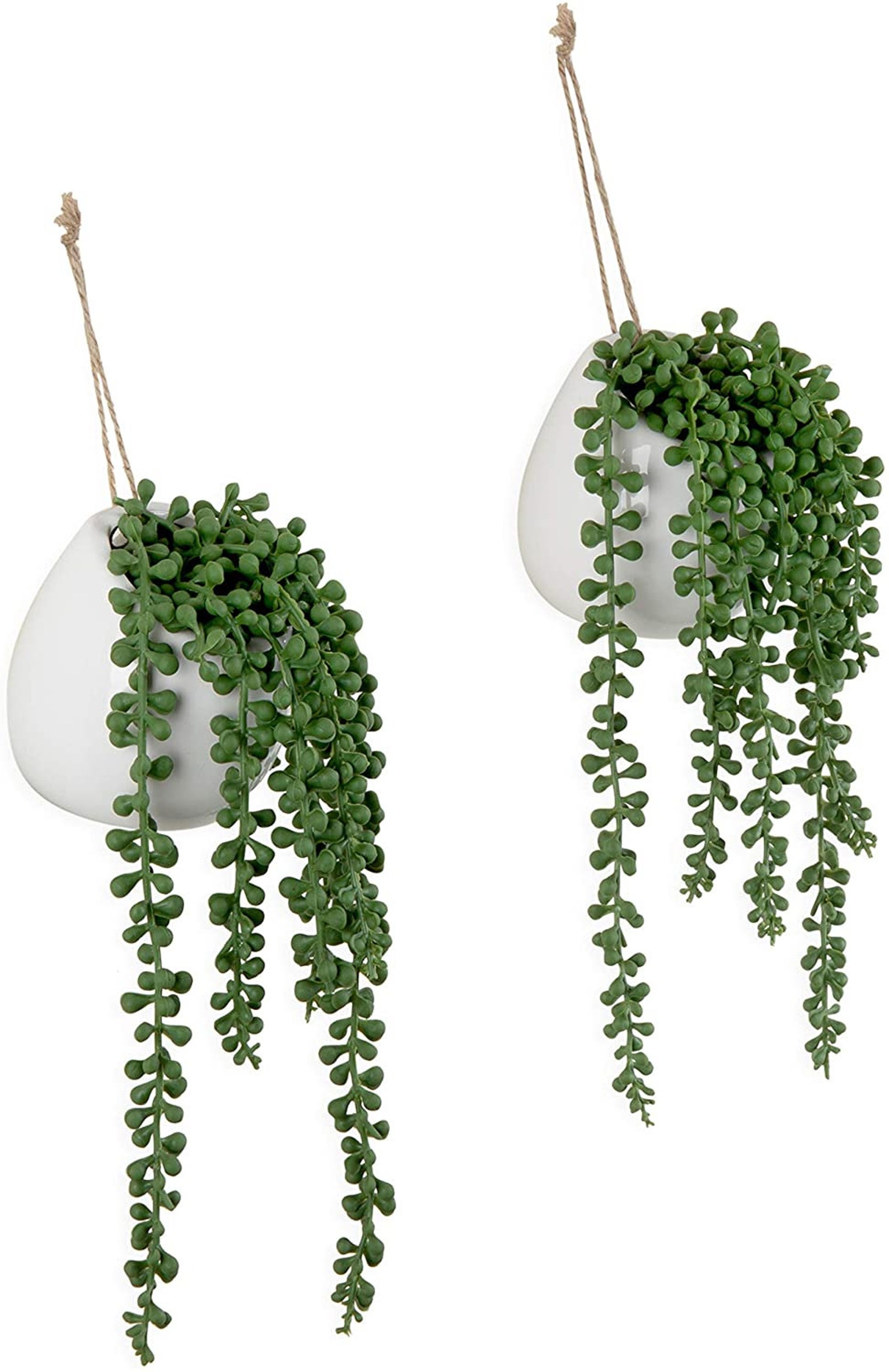 Plant wall decor Hanging plant decor Wall decor Boho Etsy
