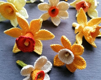 Patrón de crochet de narcisos