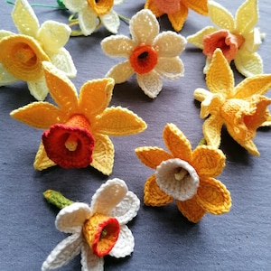 Daffodils Crochet Pattern