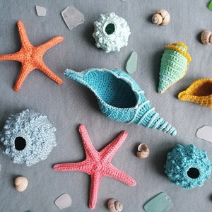 Crochet Sealife Collection no1 Crochet PDF PATTERN Shells, Sea Urchins, Starfish image 1