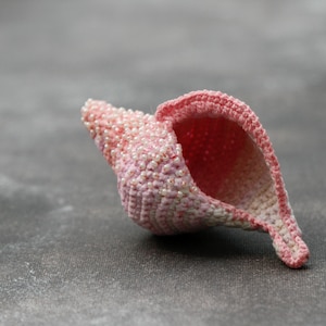 Crochet shell -- collectible art - soft sculpture