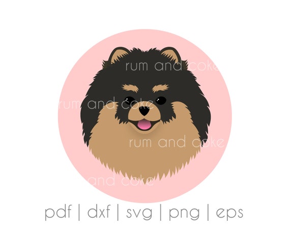 Pin on Pomeranians