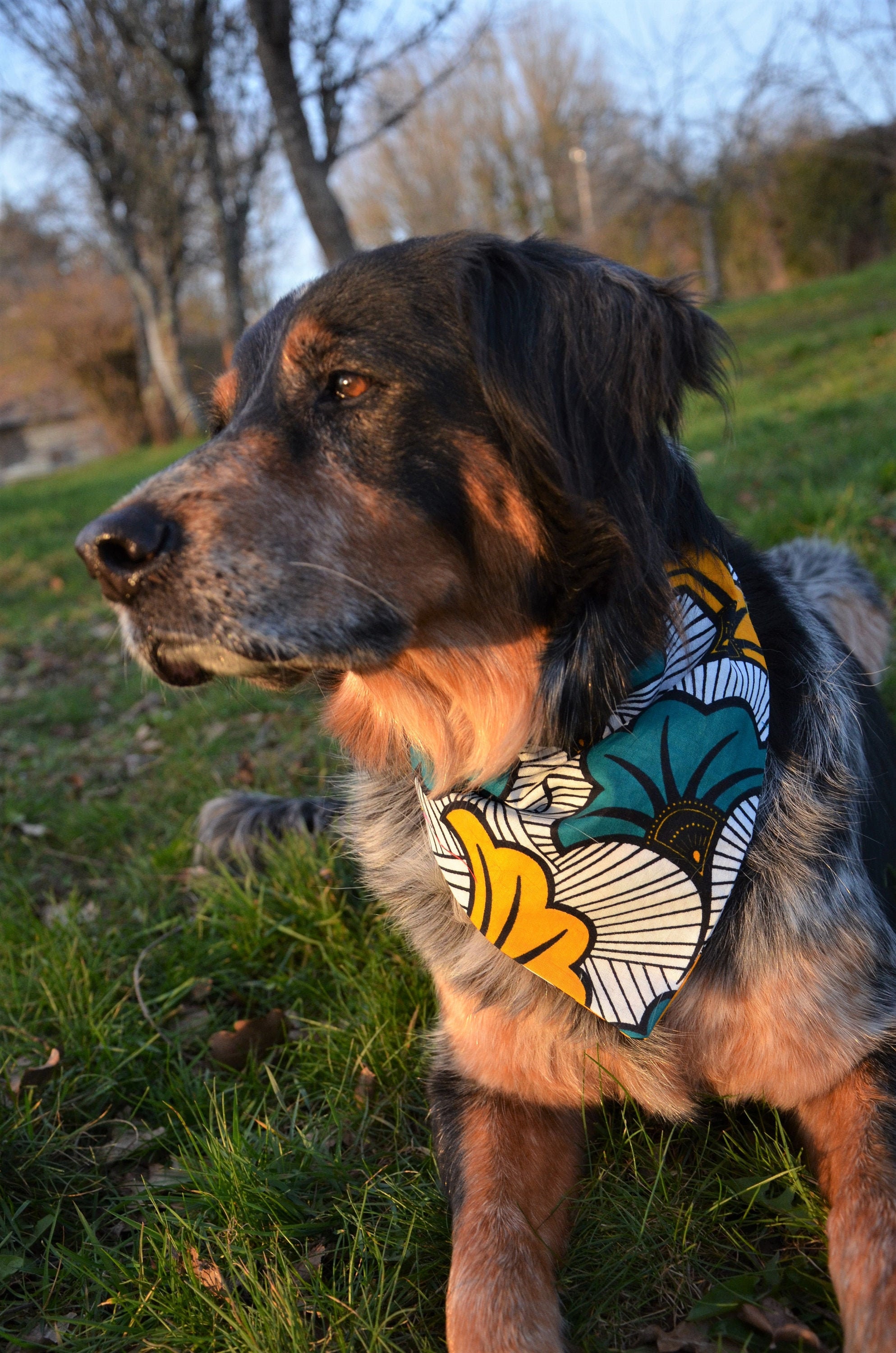 Bandana Pour Chien en Tissu Wax