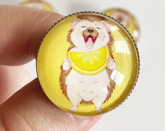 Handmade Hedgehog Glass Cabochon Pin Accessory (25mm)
