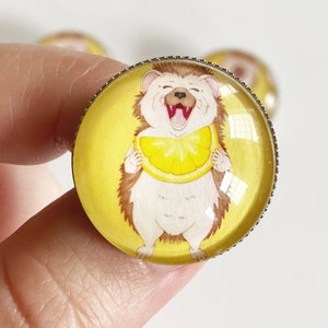 Hedgehog Glass Pin (25mm- 1 inch), Cute Woodland Animal Clothing Accessories, Handmade Cabochon Brooch