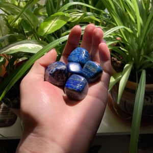 lapis lazuli tumbled crystals