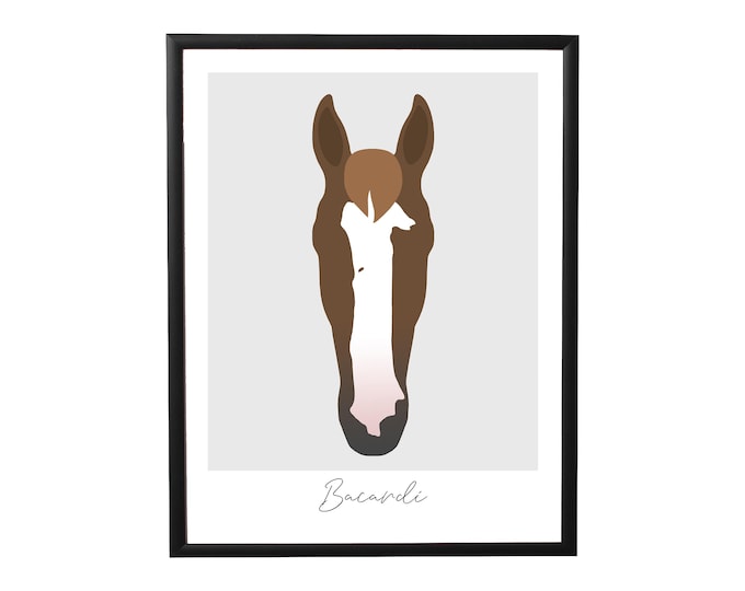 Individualized poster of your horse "true colors"