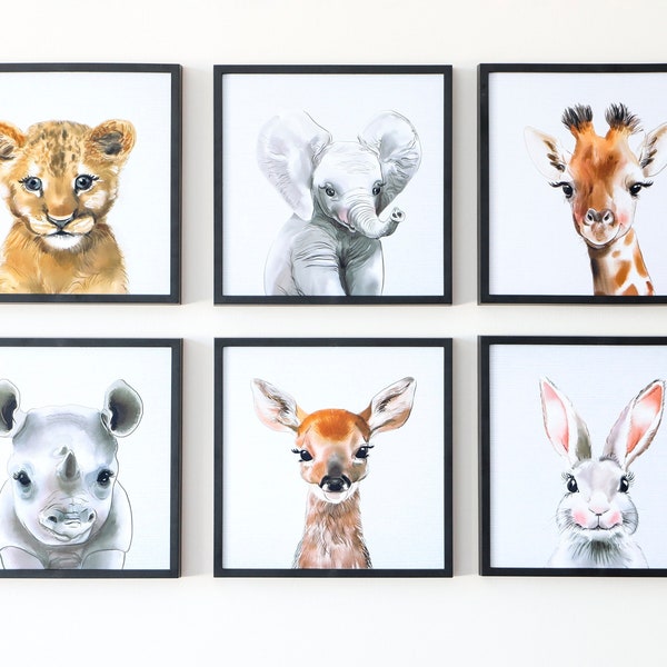 Zoo Animal Nursery Etsy