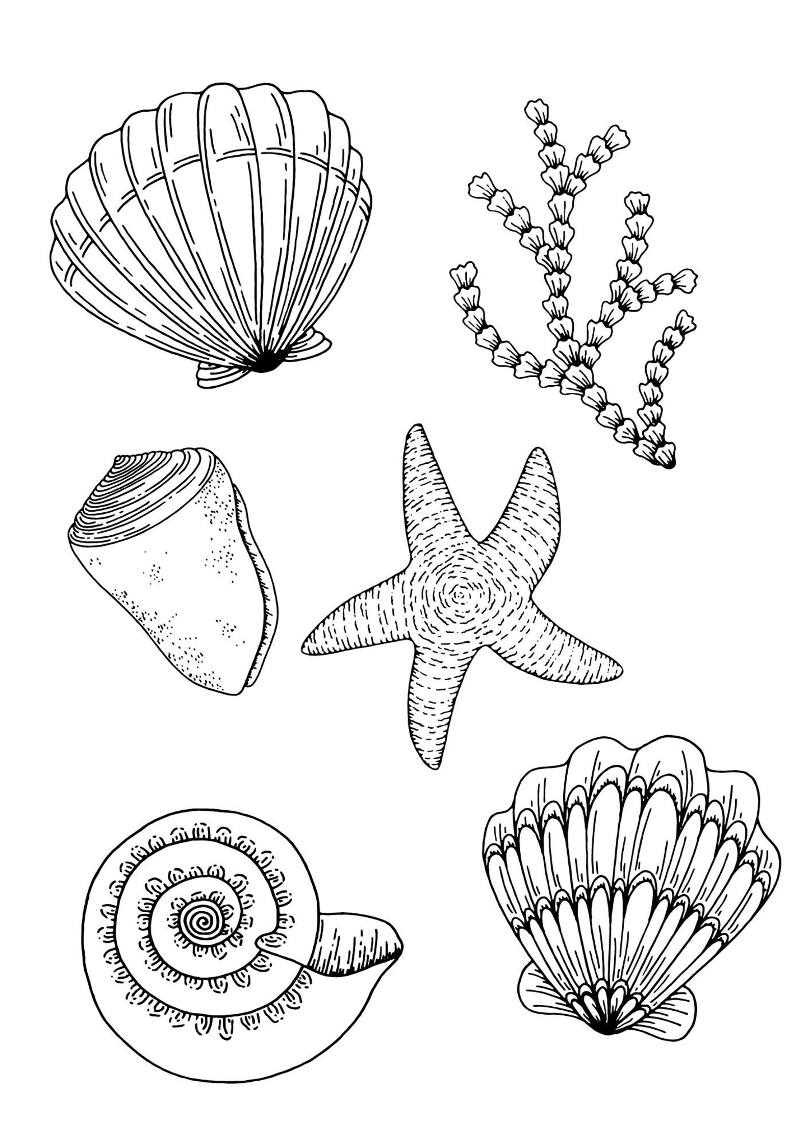 Anti-stress coloring book Coloring Book Coloring Book for | Etsy