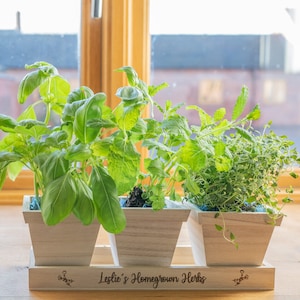 May include: Three wooden planters with a light wood finish, each containing a different type of herb. The planters are arranged in a row on a wooden shelf. The shelf has a sign that reads "Leslie's Homegrown Herbs".
