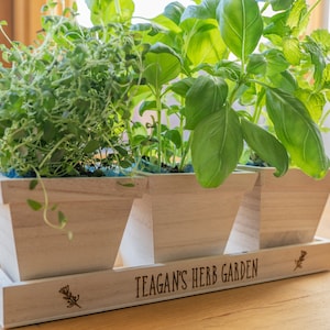 May include: A wooden herb garden planter with three compartments, each containing a different type of herb. The planter has a wooden base with the text "Teagan's Herb Garden" engraved on it.