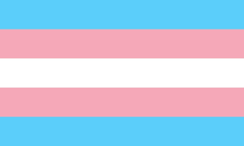 The ORIGINAL Mystery Pride Crate Love- Transgender