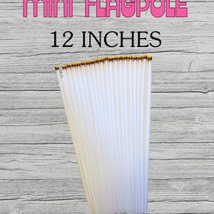 Mini Handheld Plastic Flagpoles