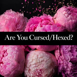 May include: A collection of vibrant pink peony flowers arranged in a dense cluster against a dark background. A black horizontal banner is overlaid across the center of the image, featuring the white text, Are You Cursed/Hexed? in a serif font.