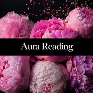 May include: A cluster of vibrant pink peony flowers with layered petals and small purple accent flowers against a dark background, featuring a prominent black horizontal band across the center with the white text Aura Reading printed on it.