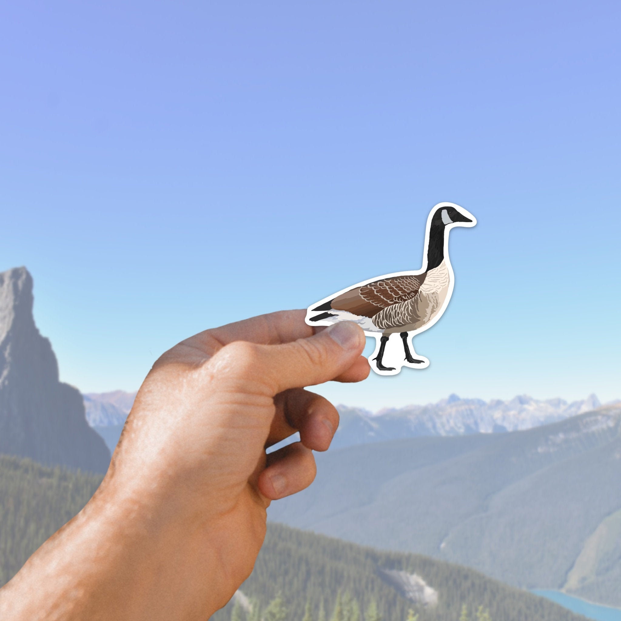 Canada Goose Sticker Etsy