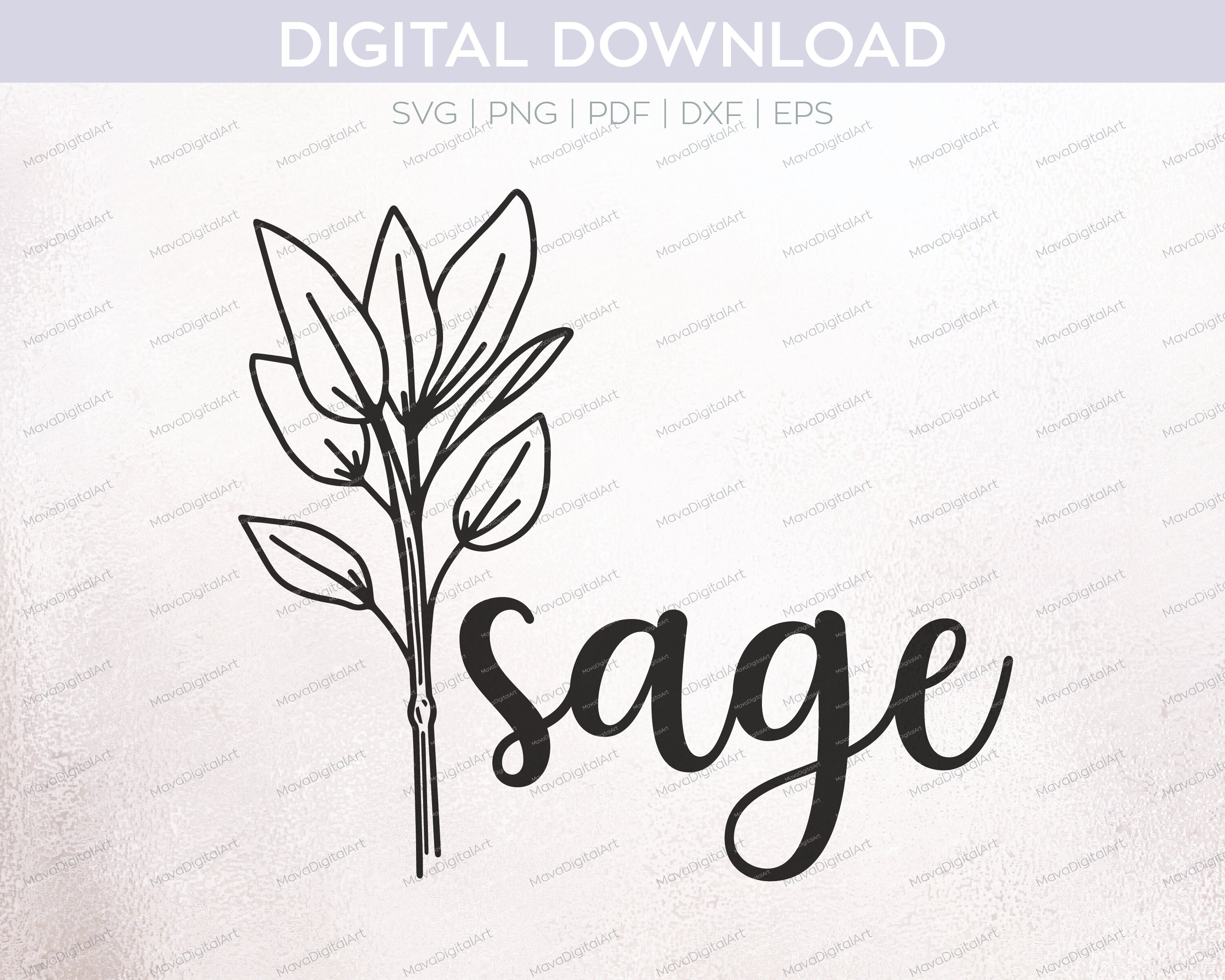 Sage PNG SVG DXF to Cut Out With Cricut or Silhouette, Digital Download
