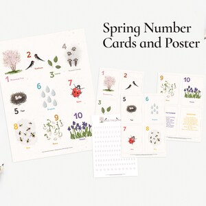 Cartes numériques et affiches inspirées du printemps - étude de l'unité préscolaire avec affiche 30x40, cartes flash, cartes de cycle, feuille de traçage, apprentissage du printemps