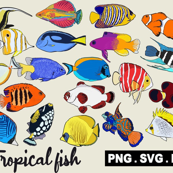 Tropical fish Designs SVG PNG PDF, Clipart, Personal and Commercial use, Instant Download