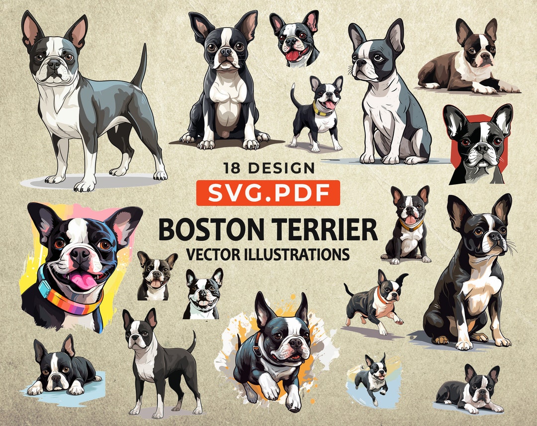 Boston Terrier Clipart, Boston Terrier Svg, Boston Terrier Pdf, Bostons ...