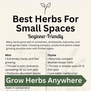 May include: A beige infographic titled "Best Herbs For Small Spaces" with text about growing herbs in containers. Includes information on mint and thyme, with pot sizes in inches.