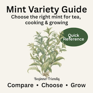 May include: An illustrated guide titled "Mint Variety Guide" with text: "Choose the right mint for tea, cooking & growing." A green illustration of mint plants is featured. Additional text includes "Quick Reference," "Beginner-Friendly," and "Compare • Choose • Grow."