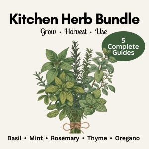 May include: An illustration of a kitchen herb bundle featuring basil, mint, rosemary, thyme, and oregano. The image includes text that reads "Kitchen Herb Bundle" and "Grow, Harvest, Use". A green circle states "5 Complete Guides".