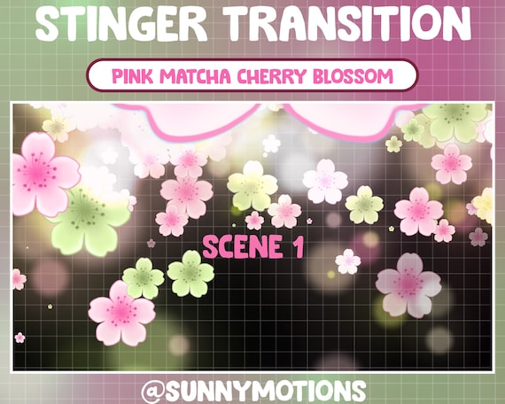 2 Pink Green Matcha Tea Sakura Flower Animated Twitch Scene Stinger Transition, Kawaii Cherry Blossom Twitch Overlay, Stream Spring Petals