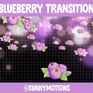 Puede incluir: Una transición animada de color morado y blanco con arándanos con hojas verdes sobre un fondo de cuadrícula blanco y negro. El texto "Blueberry Transition" está en la parte superior de la imagen y el texto "@sunnymotions" está en la parte inferior de la imagen.