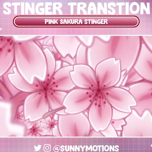 Peut inclure: Fleurs de cerisier roses et blanches sur un fond rose. Le texte "PINK SAKURA STINGER" est affiché dans un cadre blanc avec une bordure rose.