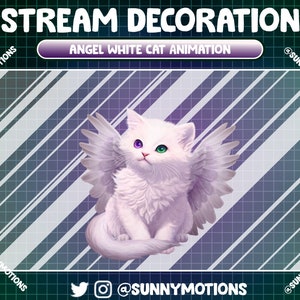 May include: A white cat with angel wings, one green eye and one purple eye, sitting on a striped background. The text "ANGEL WHITE CAT ANIMATION" is above the cat. The text "@SUNNYMOTIONS" is at the bottom of the image.